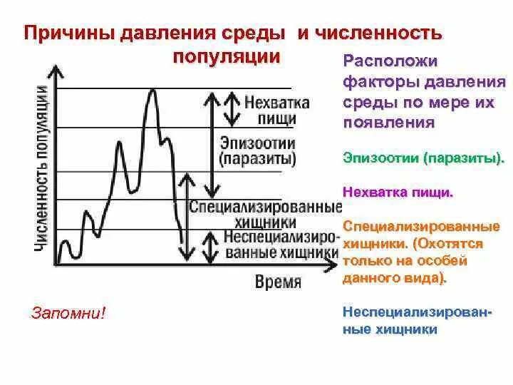 Давление окружения. Численность популяции. Плотность популяции. Факторы роста популяции. Динамика роста численности популяции.