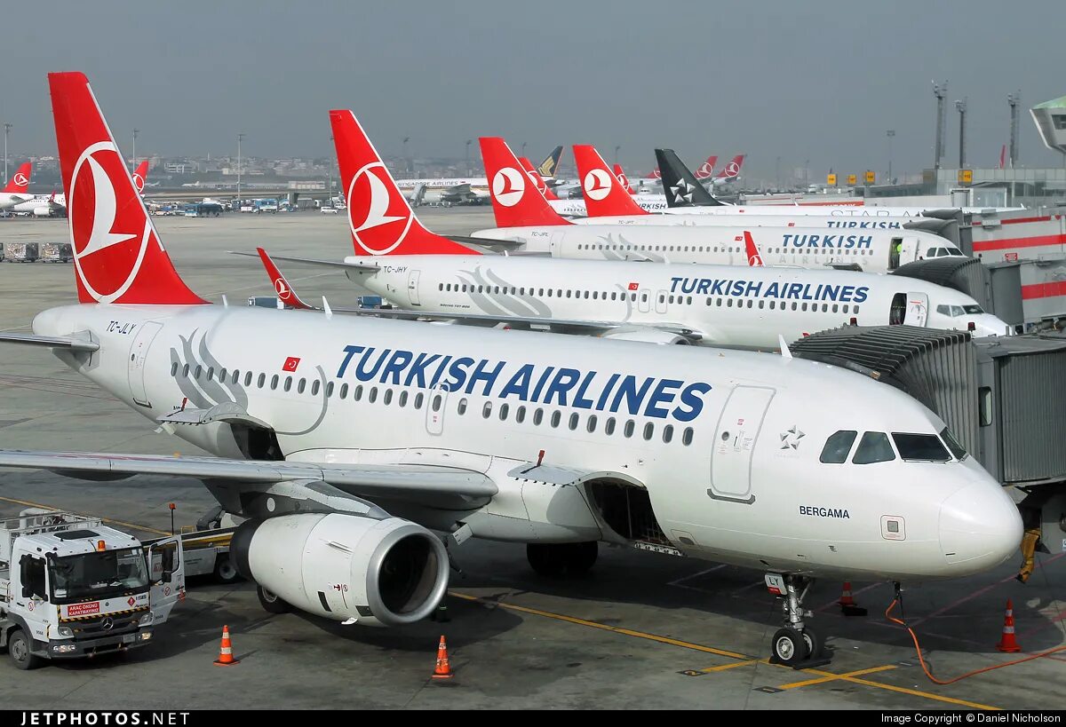 Турецкая авиакомпания сайт. A319 Turkish Airlines. Аэробус а319 турецкие авиалинии. А319 Туркиш Эйрлайнс. Turkish a310.