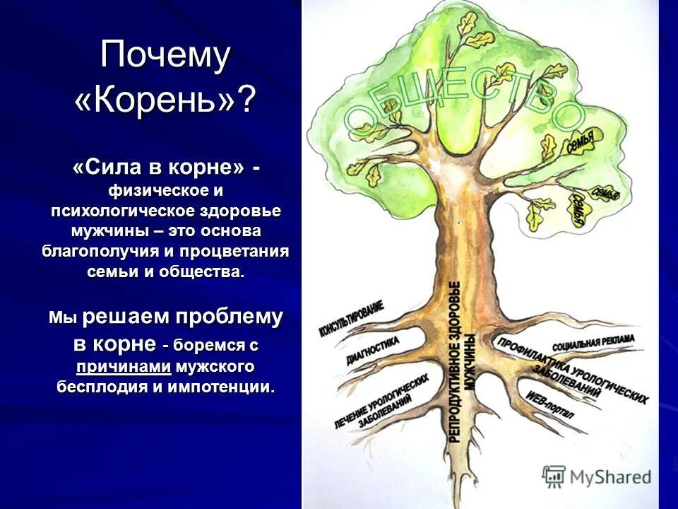 Корневая сила