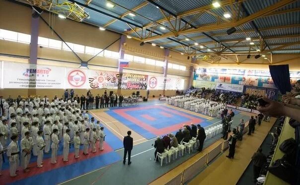 Эмблема цсп. Цсп 20*1250*3200 мм. Плита цсп 10мм*3200*1250. Центр спортивной подготовки сборных команд. Цсп сборных.