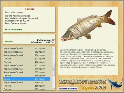 Какие вкусы любит карась