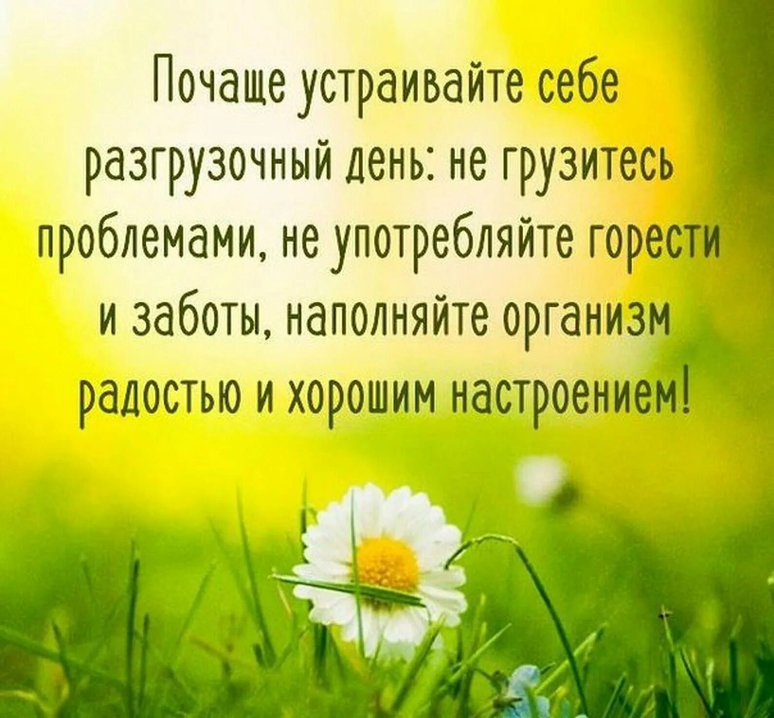 С добрым с добрыми мудрыми мыслями