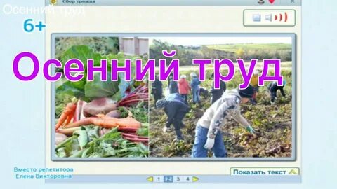 Осень труд людей овощи фрукты