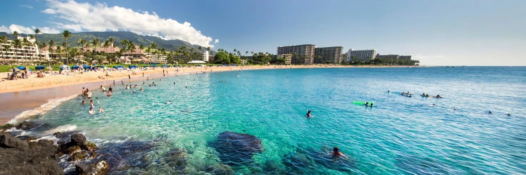 Maui shell