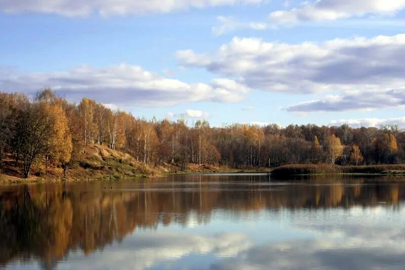 Город на реке сестра. Река сестра Клин. Заказник верховья реки большой сестры. Заказник реки большая сестра. Заказник верховья реки большая сестра.