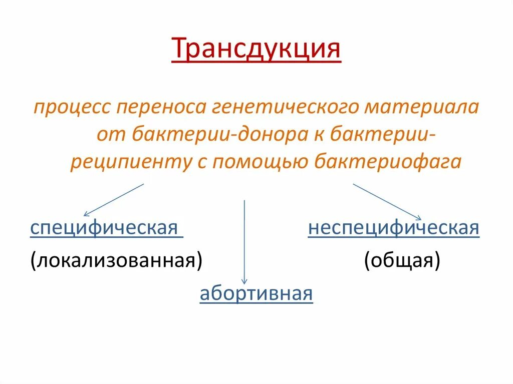 Бактерия донор. Неспецифическая трансдукция. Специфическая трансдукция у бактерий. Общая и специфическая трансдукция. Этапы общей трансдукции.