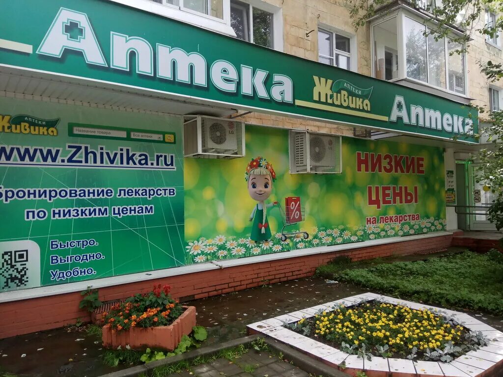 Живика добрянка