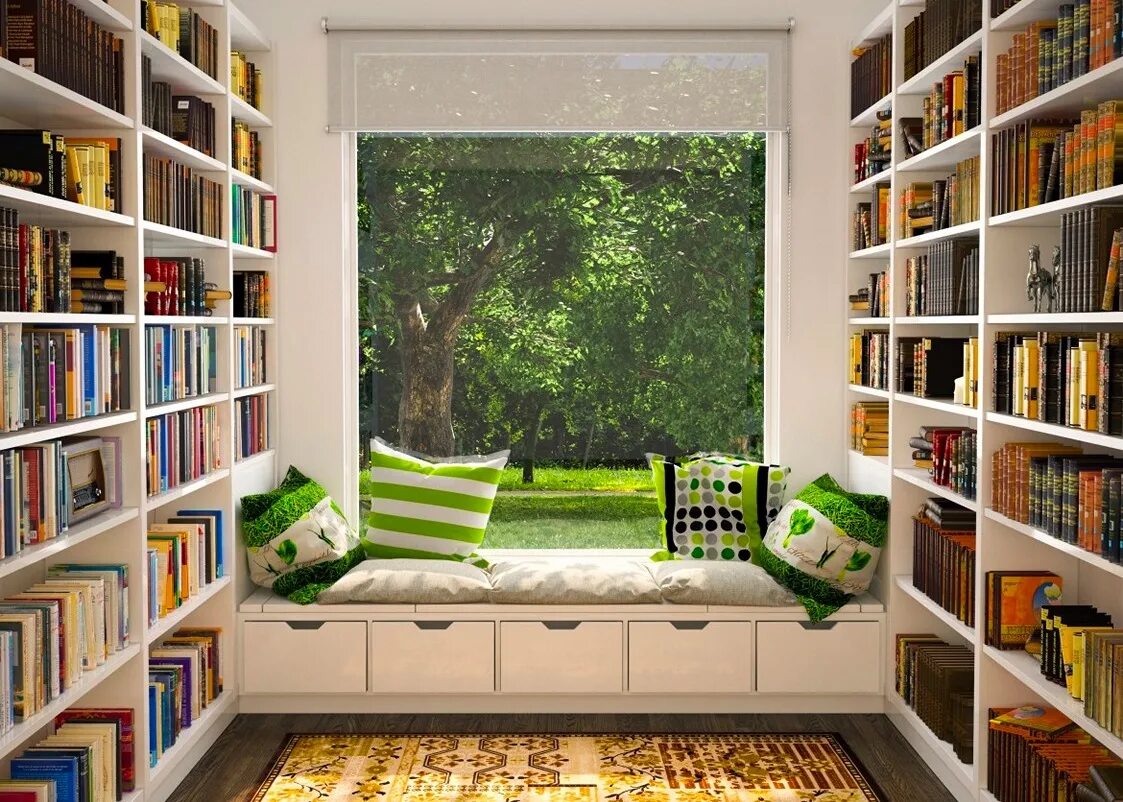 Window read