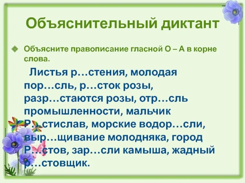 Р стение выр щенный отр сль. Объяснительный диктант. Объяснительный диктант 5 класс. Буквы а о в безударных корнях раст рос. Слова с корнем лист.