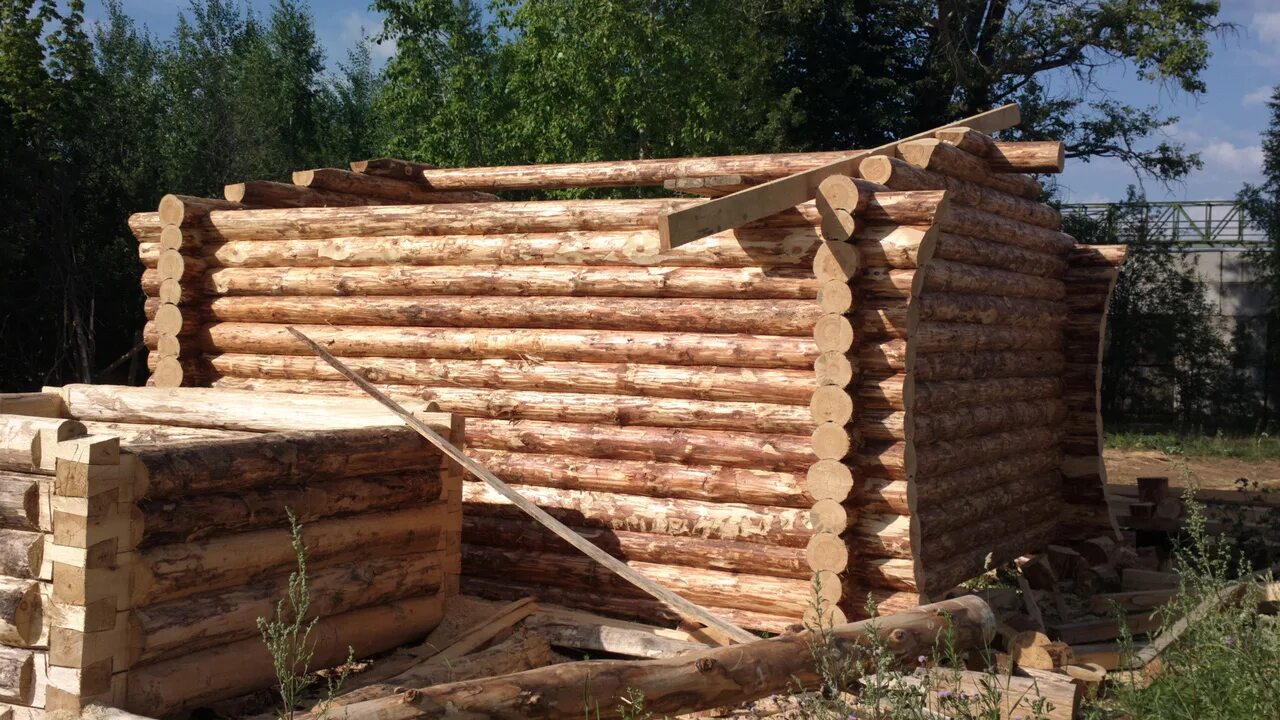 Бревенчатый дом. Популярные срубы домов в чашу. Постройка сруба. Сруб канадская рубка. Сруб из бревна большого диаметра.