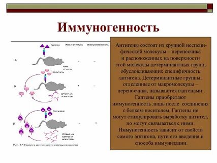 Специфические белки антигены