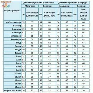Рост головы 1 месяц
