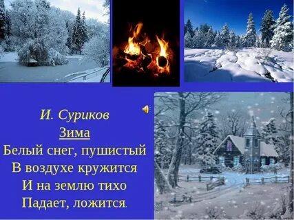 Зима сурика