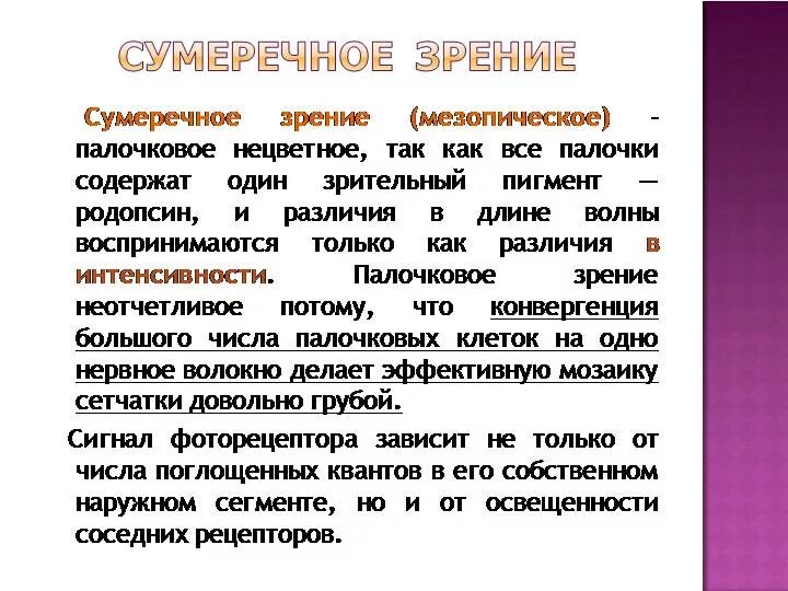 Аппарат сумеречного зрения. Аппаратом сумеречного зрения являются. Сумеречное зрение. За сумеречное зрение отвечают. Улучшает зрение в сумерках