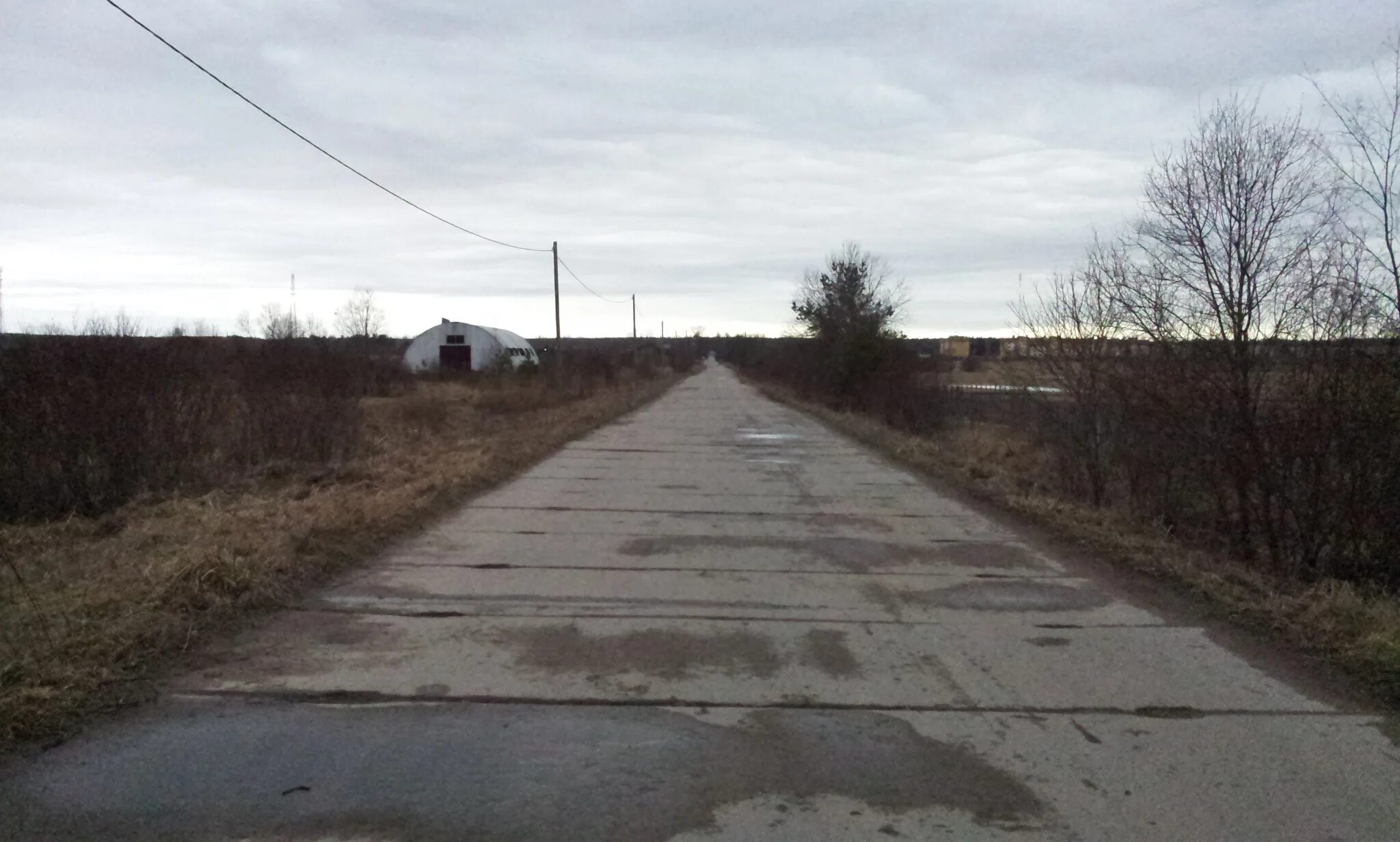 Погода в житково. Погода в житково. Погода в житково. Погода в житково. Житково ленинградская область.