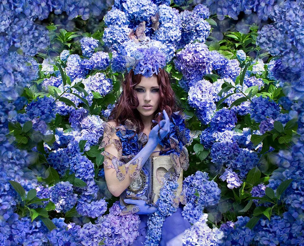 Доступен в цветах. Кирсти Митчелл. Кирсти Митчелл Kirsty Mitchell. Кирсти Митчелл Страна чудес. Кристи Митчелл фотограф.