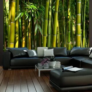 Bamboo wallpaper, Bamboo background, Lucky bamboo plants