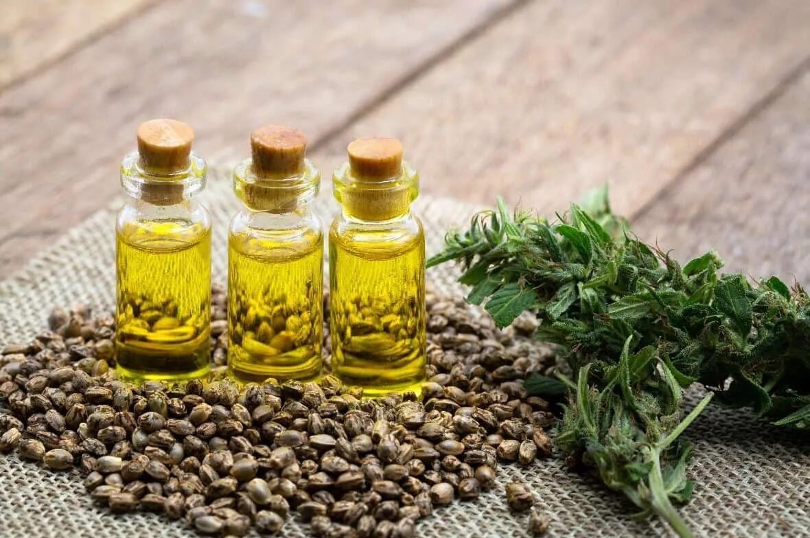 Как делают масло из семечек. Cbd hemp oil prices. масло семян конопли. конопля семена масло. экстракт каннабиса масло.