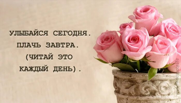 Цитаты людей о чтении книг. Цитаты о книгах и чтении. Двач читать. Люди которые читают книги всегда будут. Типичный учитель английского.