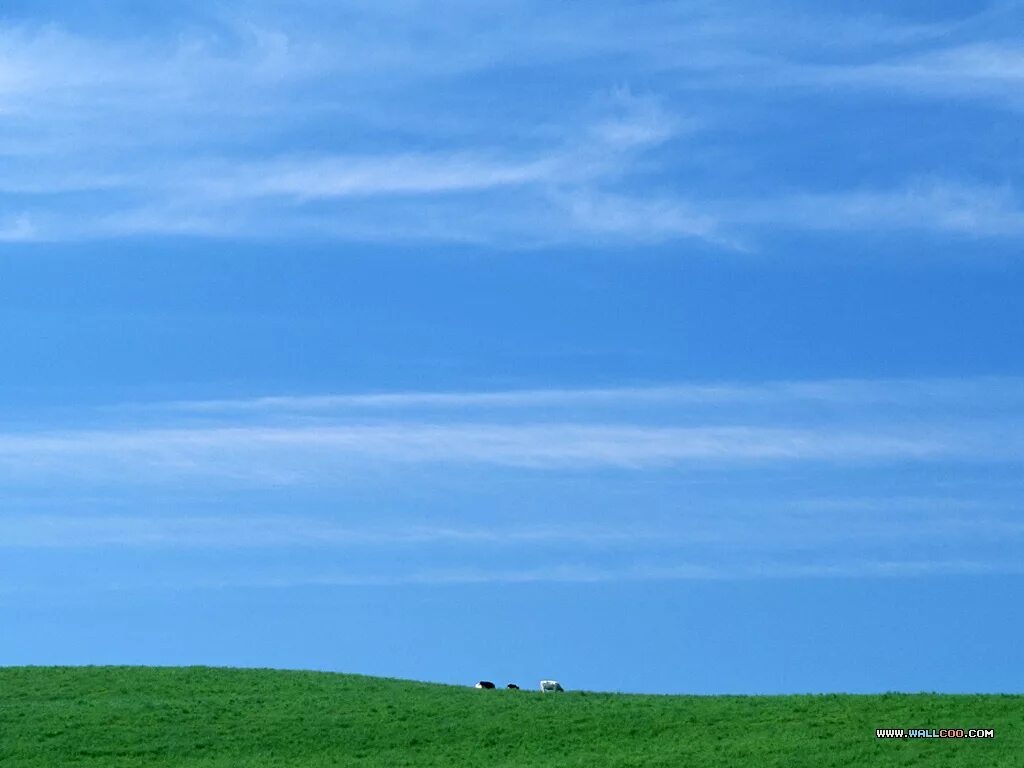 Vast country. Green fields and Blue Sky Lake. Perfect Country.