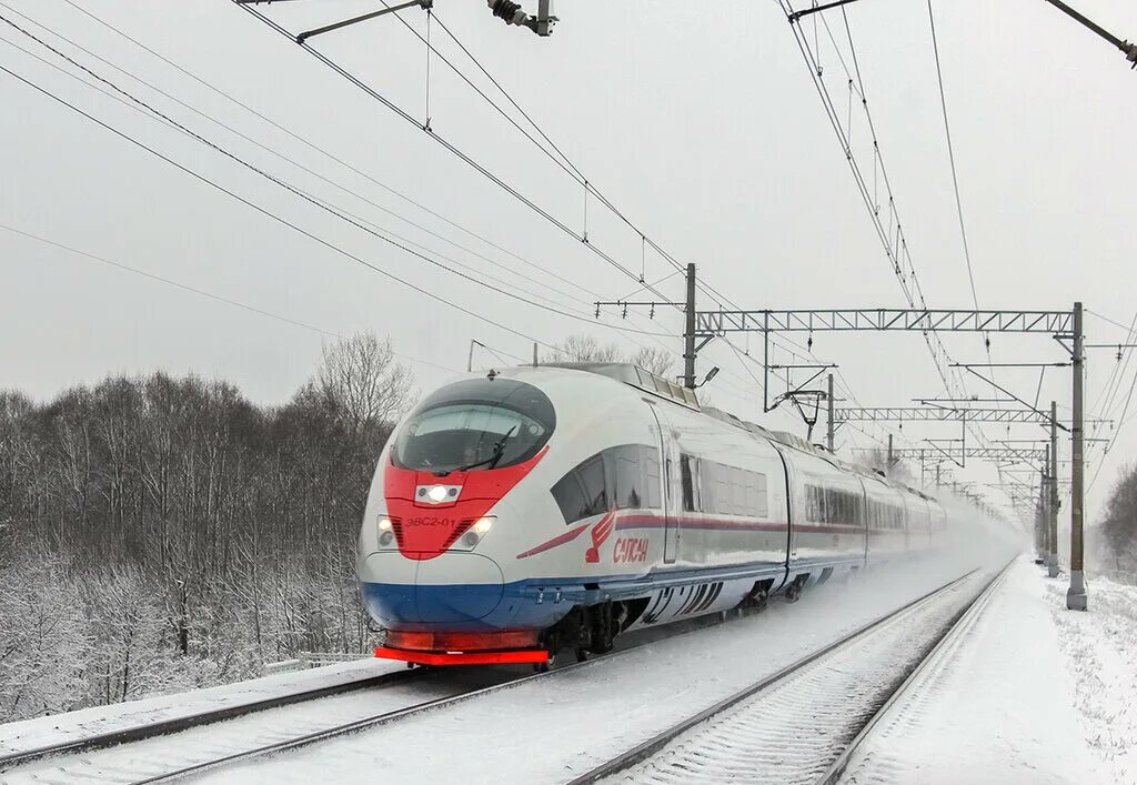 Скорость скорого поезда. Скоростной поезд Сапсан. Скоростной поезд САМСАМ. Скоростной электропоезд Сапсан. Высокоскоростной электропоезд Сапсан.