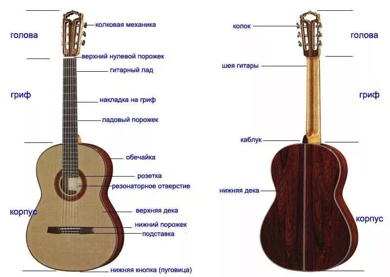 Использованная гитара это. Строение гитары 6-ти струнной электрогитары. строение 6 струнной гитары. строение гитары акустической 6 струнной. гитара строение гитары классической.