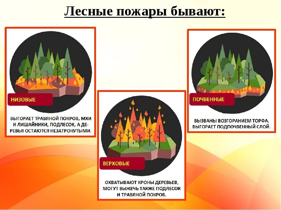 Разновидности лесных пожаров. Причины природных пожаров. Виды лесных пожаров подземные. Особенности природного пожара