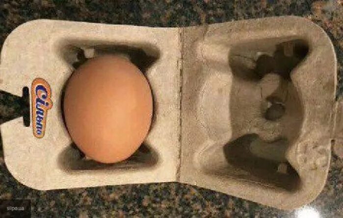В каждой коробке по 100 яиц. Яйца поштучно. Продаются яйца. Упаковка яиц в Европе. Яйца поштучно упаковка.