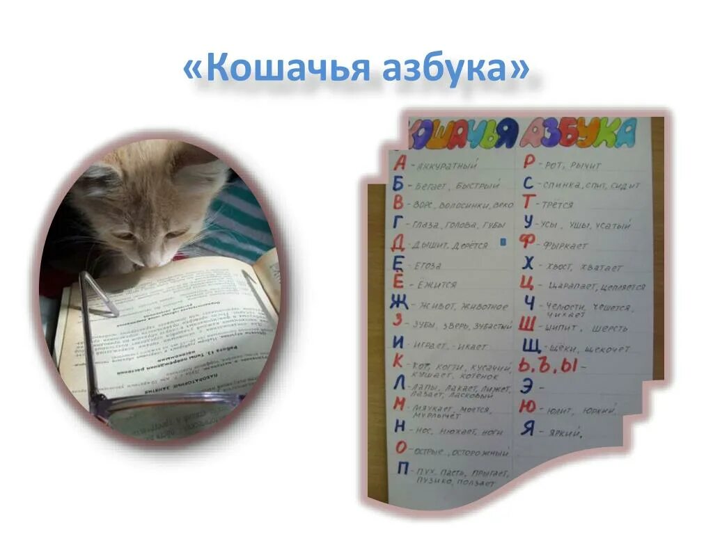 Котова кошка. Кошачья Азбука. Кошачий алфавит. Кошачья письменность. Кошачий алфавит учить.