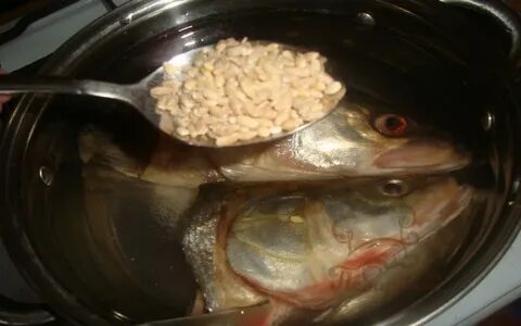 Уха из головы морского окуня рецепт
