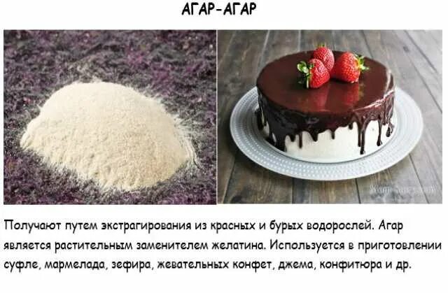 Можно ли заменить агар. Что делают из агар-агара. из чего делают агар. источник агар-агара. агар-агар получают из водорослей.
