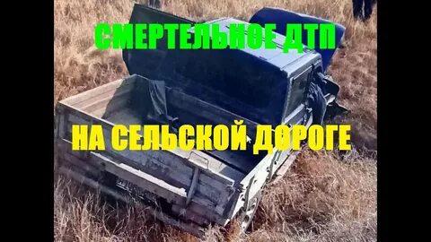 На полевой дороге мне попались навстречу две