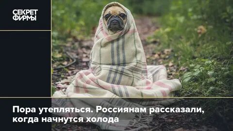 Когда начнутся холода