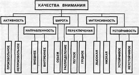 Перечислите качества внимания