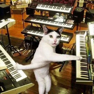 Piano meme