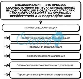 Уровни специализации производства