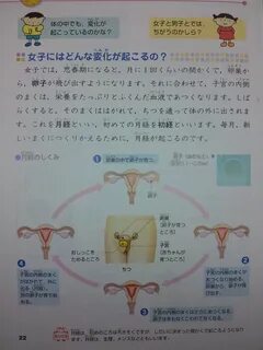 保 健 体 育 教 科 書 性 器 保 健 体 育 性 教 育 教 科 書 投 稿 画 像 604 枚
