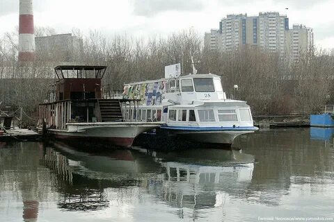 Затон новинки