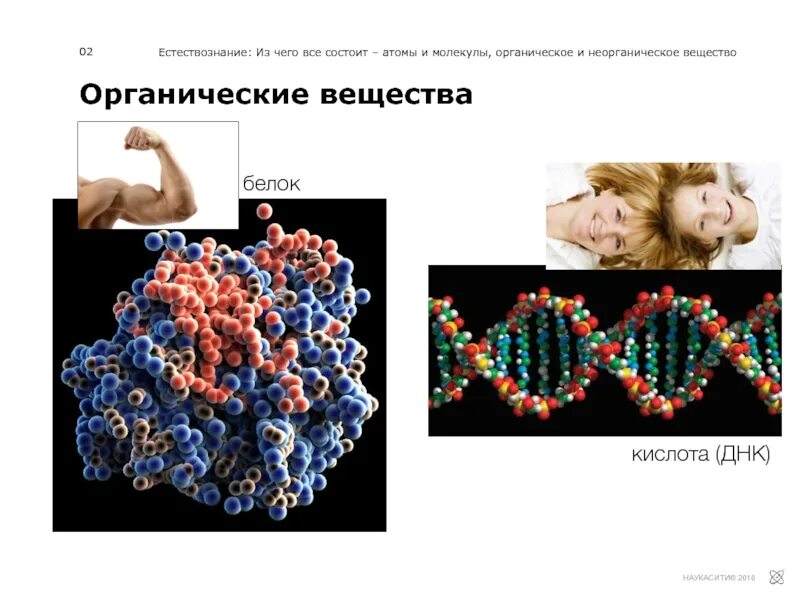 Человек состоит из атомов и молекул. Мы состоим из атомов. человек состоит из атомов. мы все состоим из атомов.