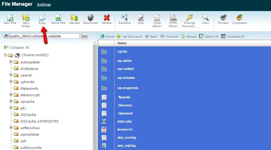 Wp domain php