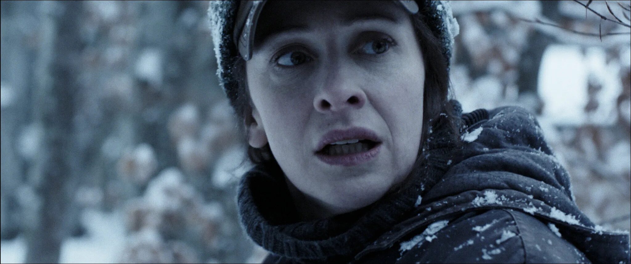 Трейлер ледяной страх. Трейлер ледяной страх. Затерянные во льдах (2018) arctic. Ледяной лес хф. Трейлер ледяной страх.