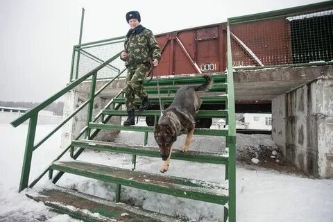 Верны границы