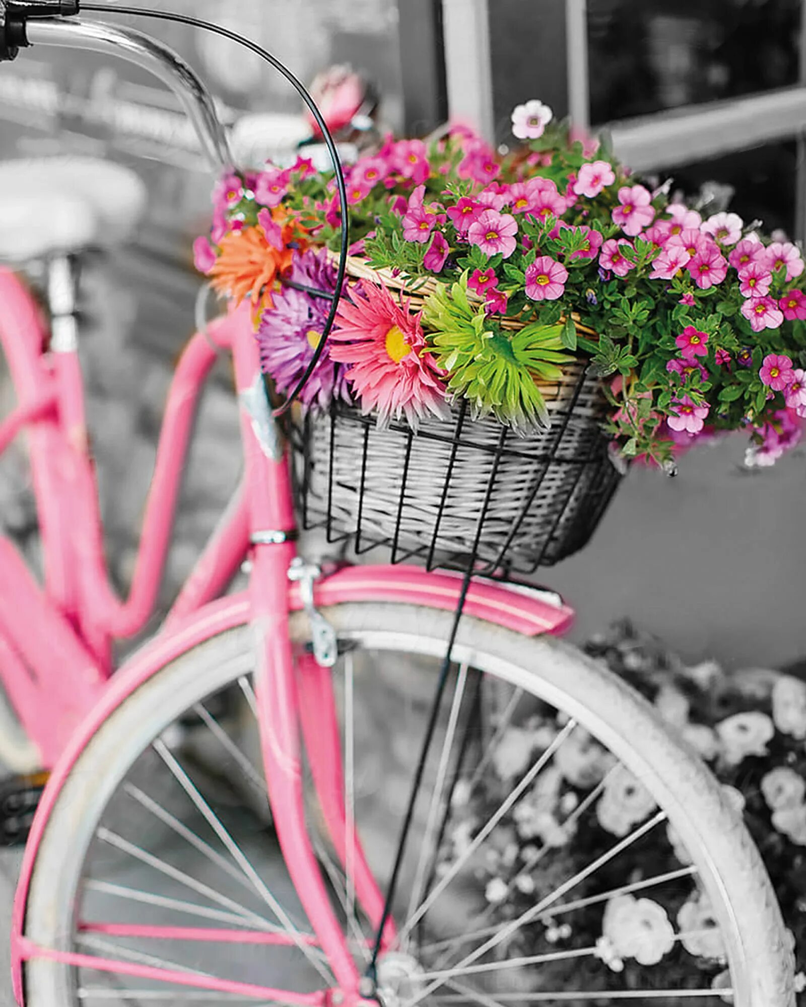 Декоративный велосипед. Велосипед с цветами. Велосипед с корзинкой с цветами. Велосипед с цветами декор. Для телефона велик