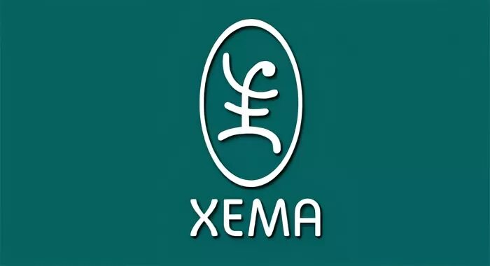 Телефон хема