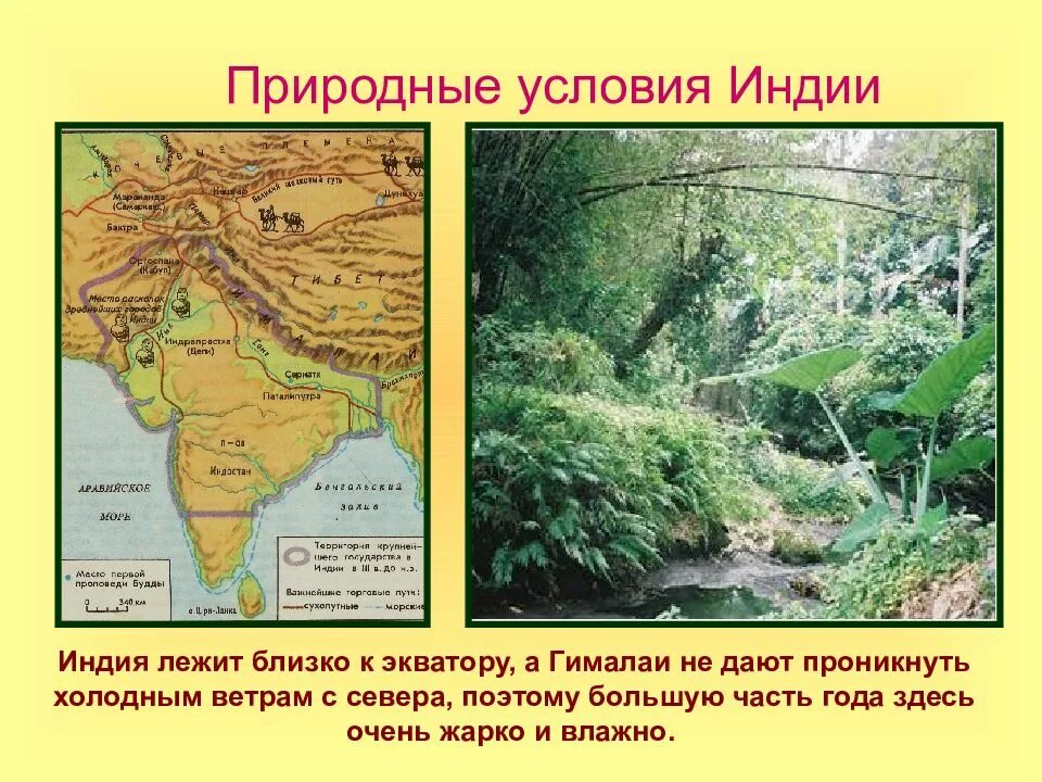 Какие природные условия индии. Природные условия древней индии. природно-климатические условия индии. природно-климатические условия древней индии. климатические условия древней индии.