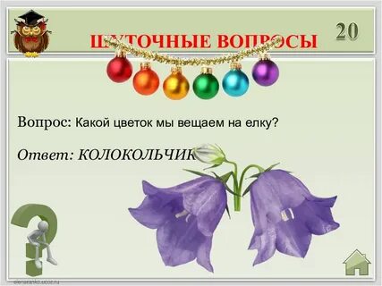 Колокольчик загадка