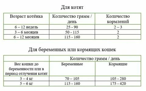 Сколько котенку нужно сухого корма в день