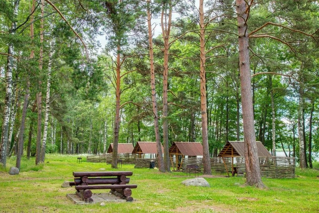 Лосево парк Ленинградская область. Лосево парк база отдыха. База Лосево Ленинградская область. Вуокса парк Лосево.