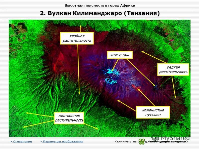 высотная поясность африки. высотная поясность тянь шаня. облачти вычотой поячтности растения и животные. высотная поясность горы аконкагуа. высотная поясность африки.