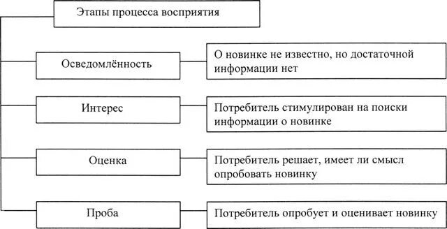 Процесс восприятия. Этапы процесса восприятия. Фазы процесса восприятия. Стадии восприятия.